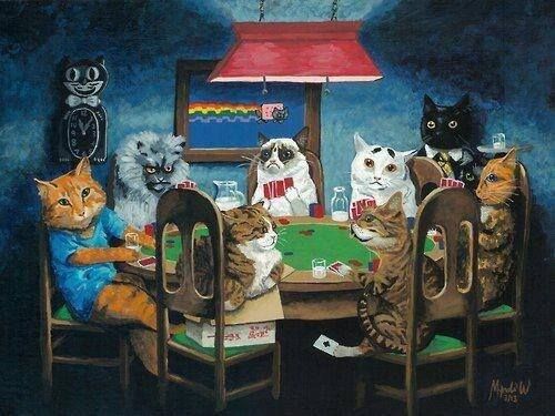cats playing poker