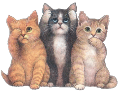 3 wise kitties
