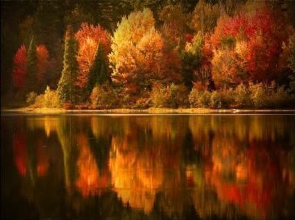 Fall Beauty Pictures, Images and Photos
