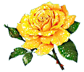 21389re89tl1xjf.gif yellow rose image by cherdnell