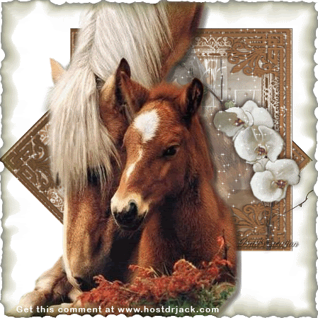 horses-9.gif pony and colt horse glitter image by cherdnell