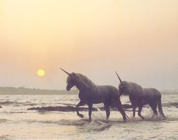 unicorns photo: unicorns untitled-1.jpg