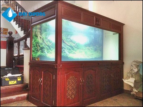 Thi công hồ cá rồng uy tín đã được kiểm chứng - HỒ CÁ ĐẠI DƯƠNG - 45