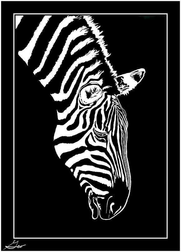 ZEBRASTRIPES23.jpg