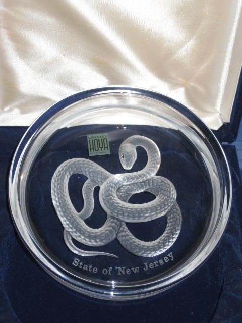 The State ofew Jersey What the Snow Looks Like in Tinton Falls… So Far…