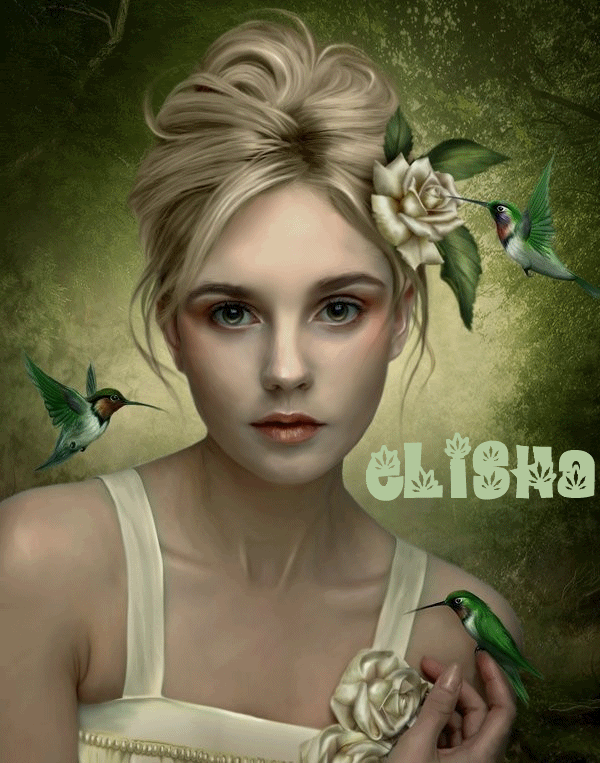  photo Animacin13ELISHA.gif