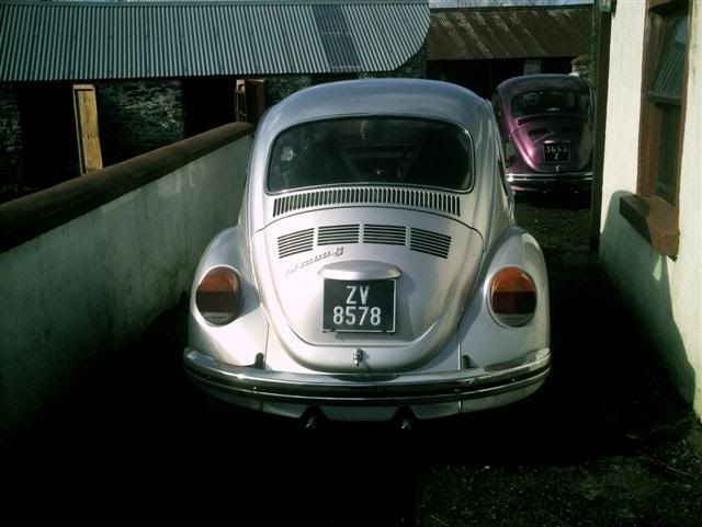 Vwbeetle028Small.jpg