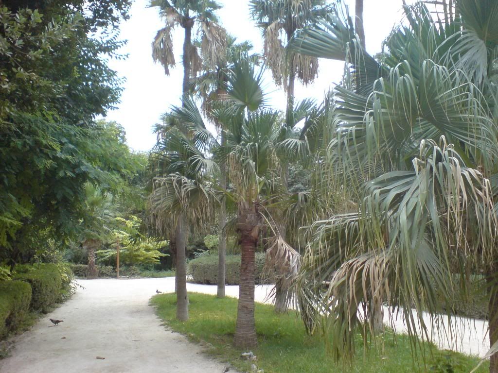 AthensBotanicalGarden14.jpg