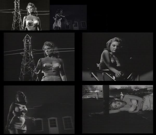 50 foot woman photo: 50 ft. Woman movie collage 50ftwomanmoviecollage.jpg