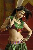 th Tamanna947 Tamanna   Hot South Indian Actress Gallery