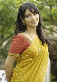 th Tamanna955 Tamanna   Hot South Indian Actress Gallery