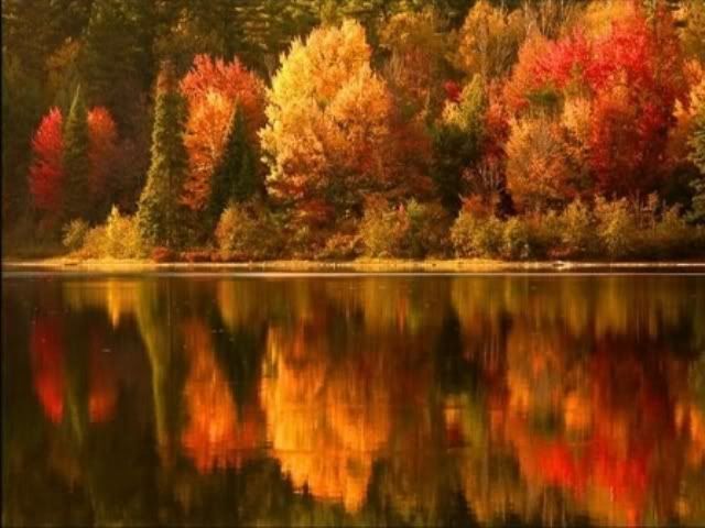 autumn lake Pictures, Images and Photos