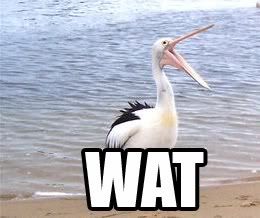 Dutch+master+recalled+to+life