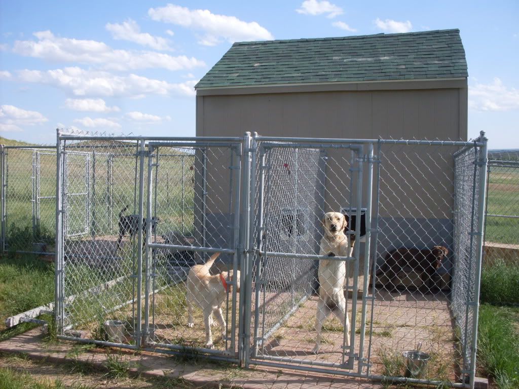 Our Montana Kennels