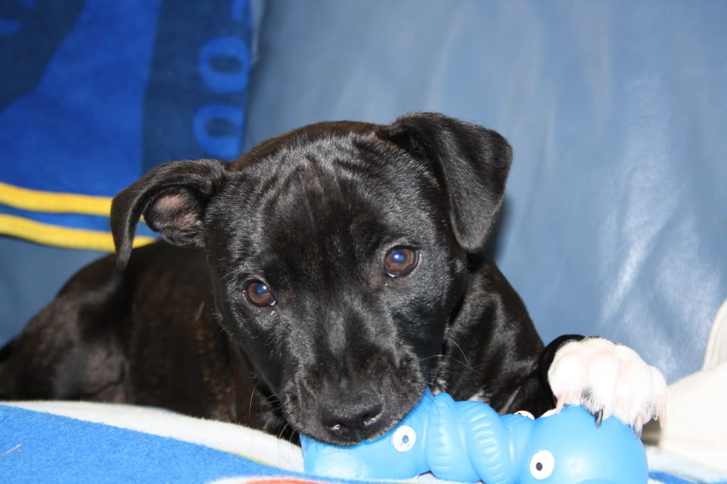 IMAGE: http://i229.photobucket.com/albums/ee174/vasbyteen/IMG_1315.jpg