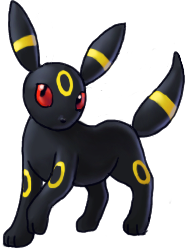 Umbreon Pictures, Images and Photos