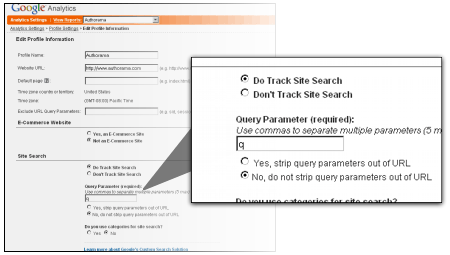 Imagem relacionada a Veja como ativar o Google Analytics Site Search