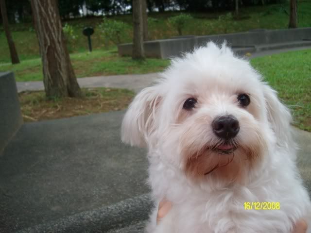 Photobucket - Video and Image Hosting