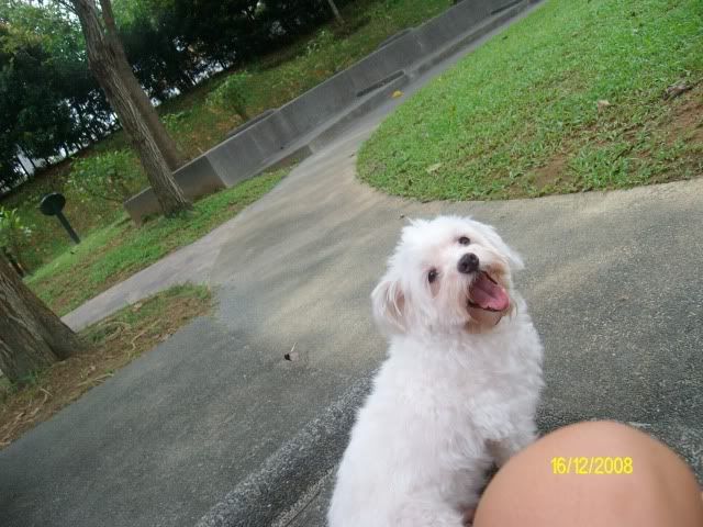 Photobucket - Video and Image Hosting