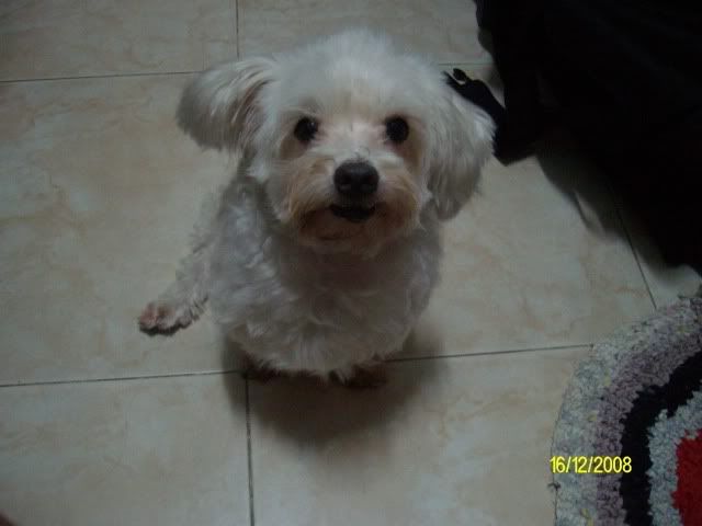 Photobucket - Video and Image Hosting