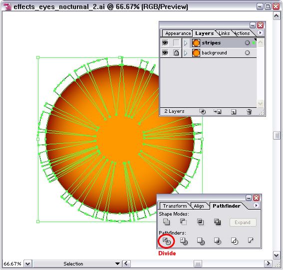 eye_tutorial_step01
