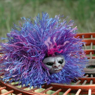 arnold the pygmy puff