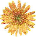 flower.gif