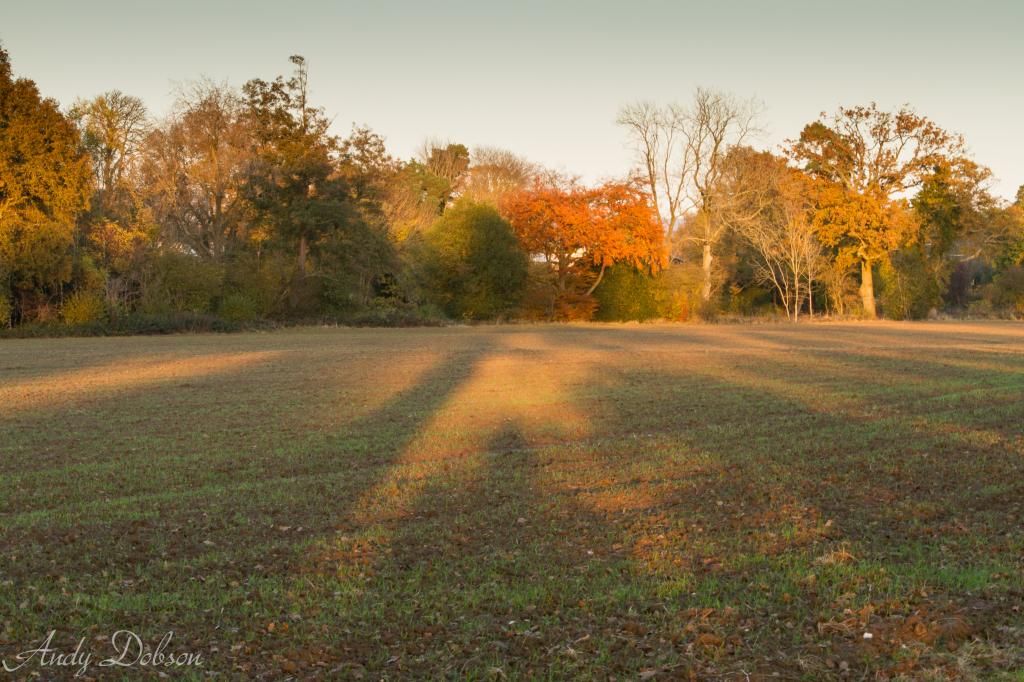 IMAGE: http://i229.photobucket.com/albums/ee21/andy_dobson/Photo%20Album%20for%20Canon/Shadows-1.jpg