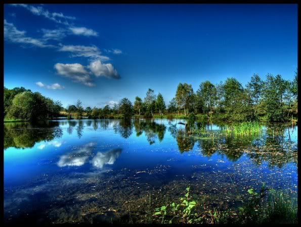 Do�a ve Manzara Resimleri (4. Katalog)