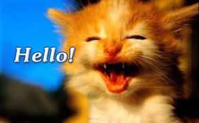 Funny Cat para blog, blogger