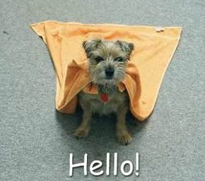 Hello para blog, blogger