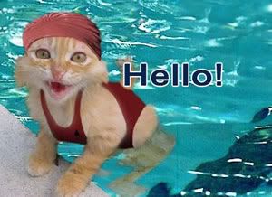 Hello para blog, blogger