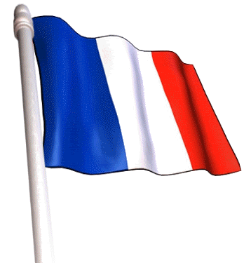 france animated flag