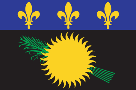 guadalupe flag