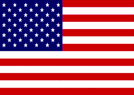 united states flag 6