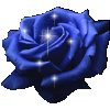 dark Blue rose para blog, blogger