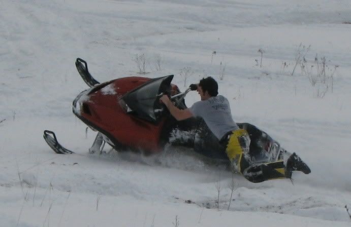 sled12.jpg