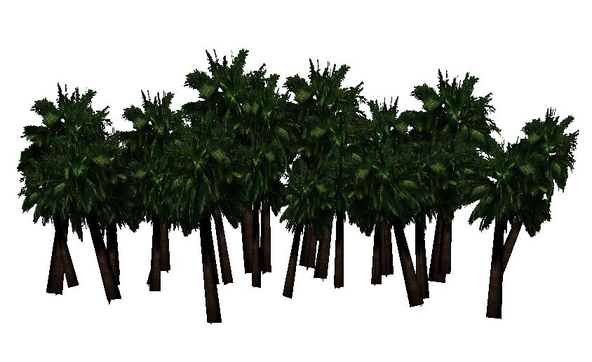  photo palmtree cluster_zpsqm7kib3m.jpg