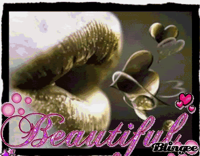 Beautiful.gif Beautiful image by thunderbird04