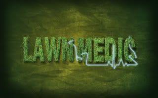 lawnmedicV2.jpg