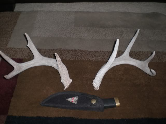 antlers2002.jpg