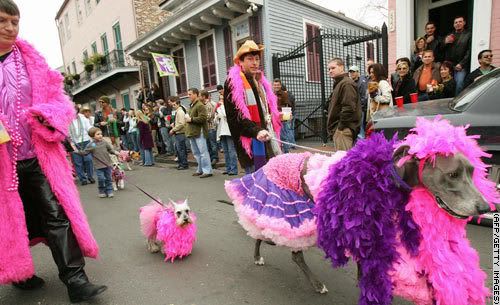 fruffydogs jpg
