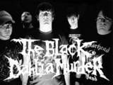 The Black Dahlia Murder Pictures, Images and Photos