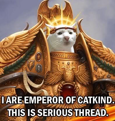 CATKING.jpg