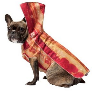 Halloween Costumes  Pets on Dachshund Halloween Costumes For Small Dogs