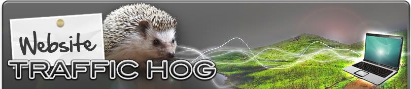website traffic hog
