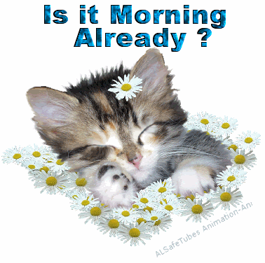 Is2520it2520Morning2520Already2520b.gif good morning image by warriors_cat