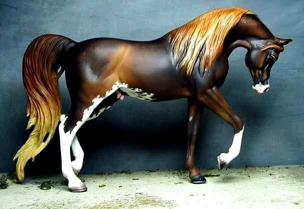 Anubis.jpg MM Qublat Anubis picture by EAMA_Stallions