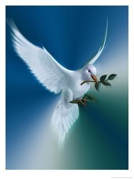 Dove-of-Peace.jpg picture5dove image by ktcollies101