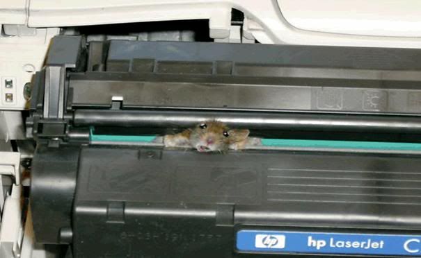 Printer Mouse photo printermouse.jpg